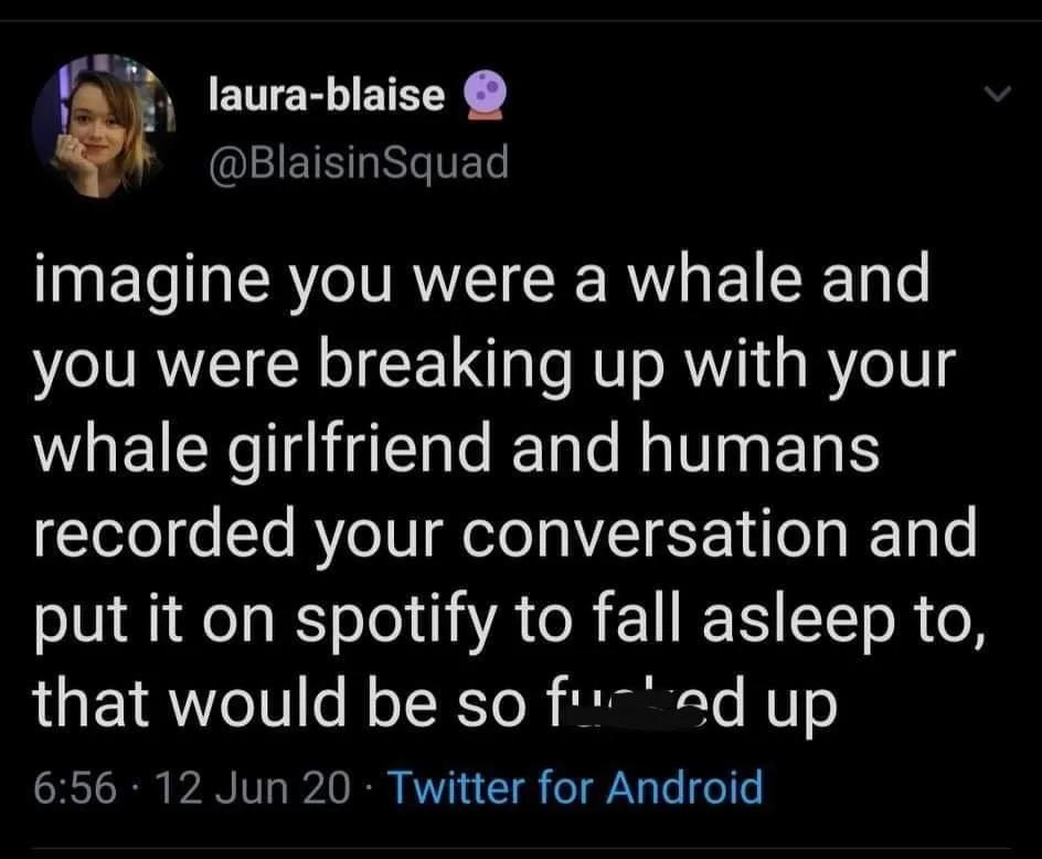 whale meme