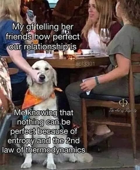entropy meme