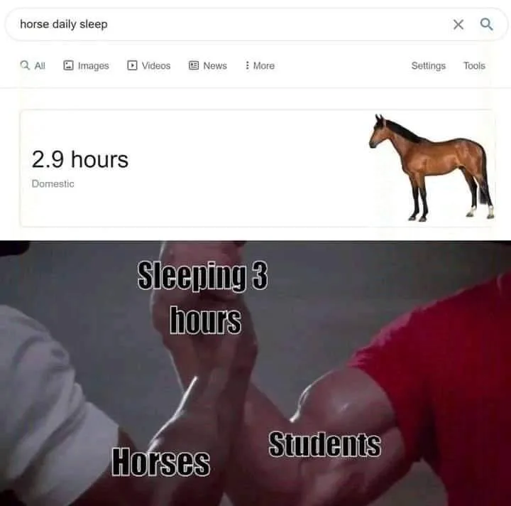 horse meme