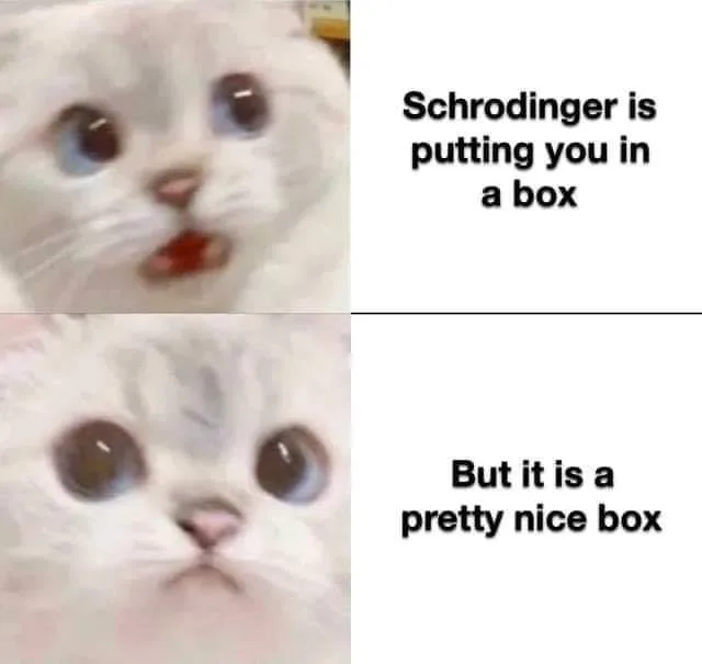 Schroedinger's cat meme