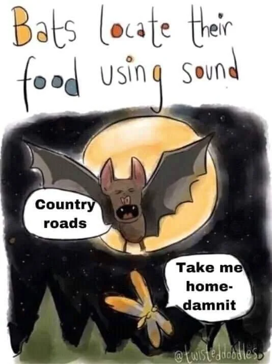 bat meme