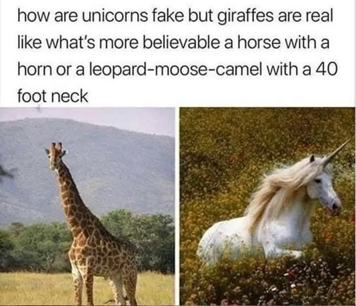 giraffe meme