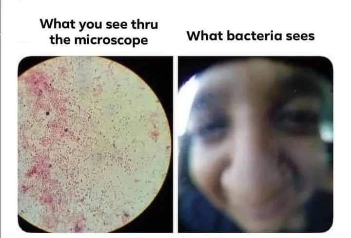 microscope meme