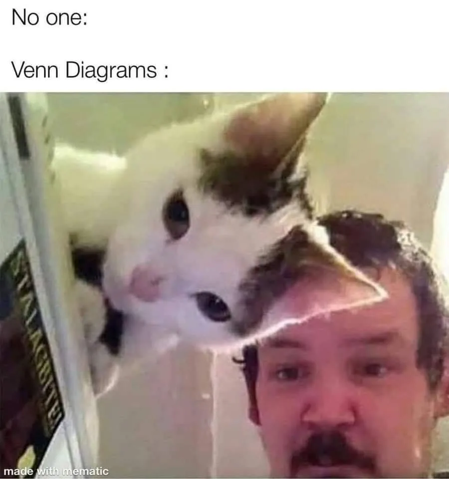 diagram meme