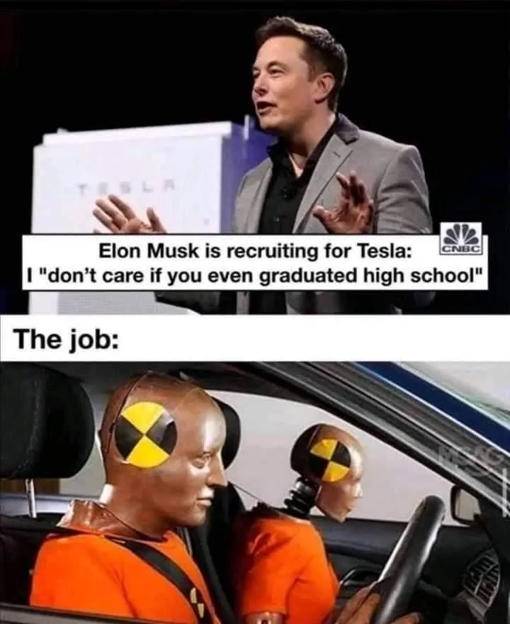 job application meme