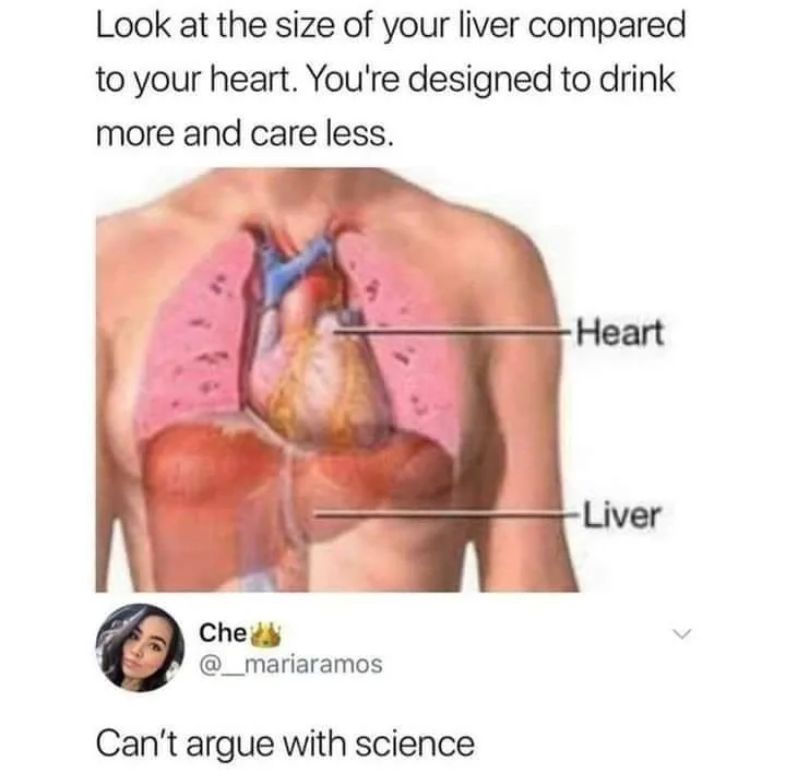 liver meme