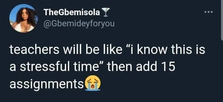 assignment meme