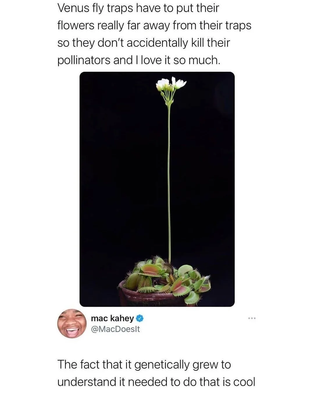 defense mechanism meme