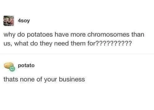 genetics meme