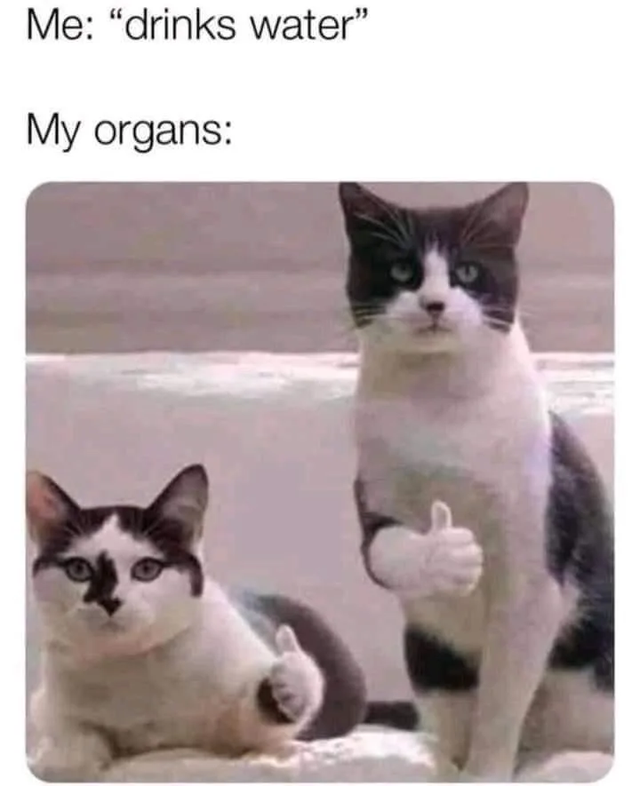 drinking water meme