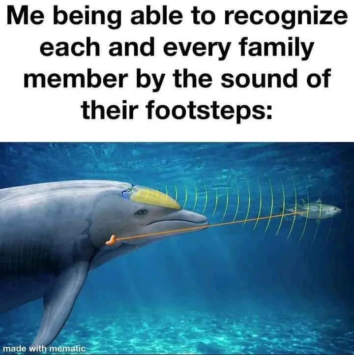 sound meme