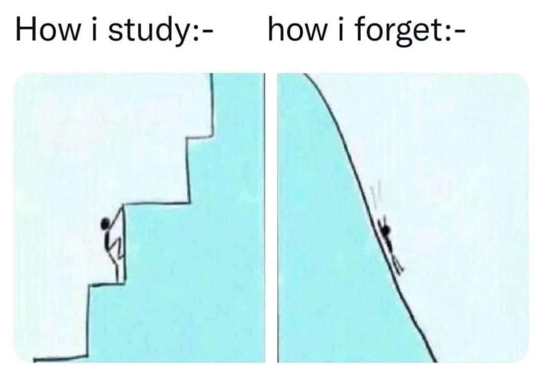 study meme