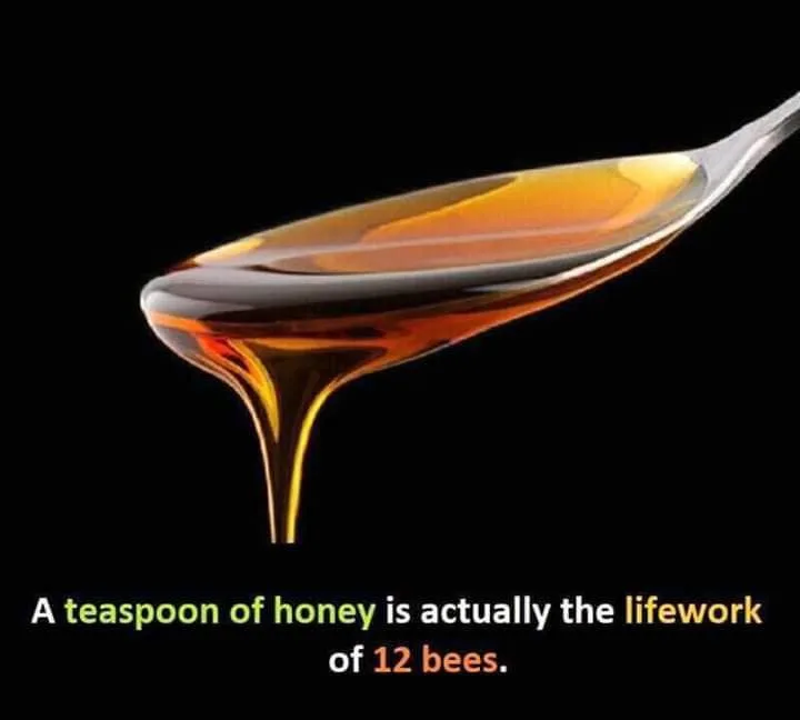 bee meme
