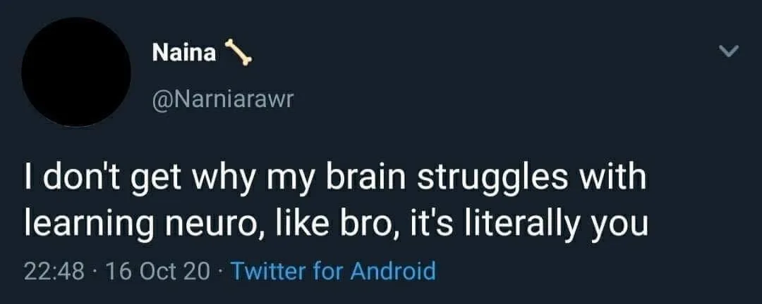 neuroscience meme