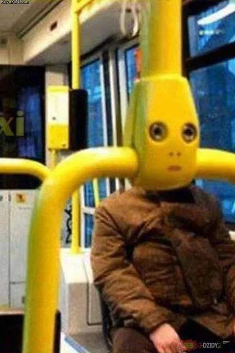 bus meme