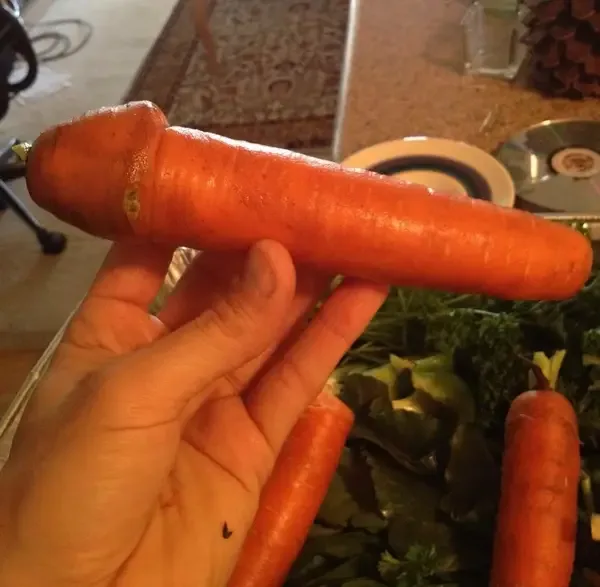 penis meme