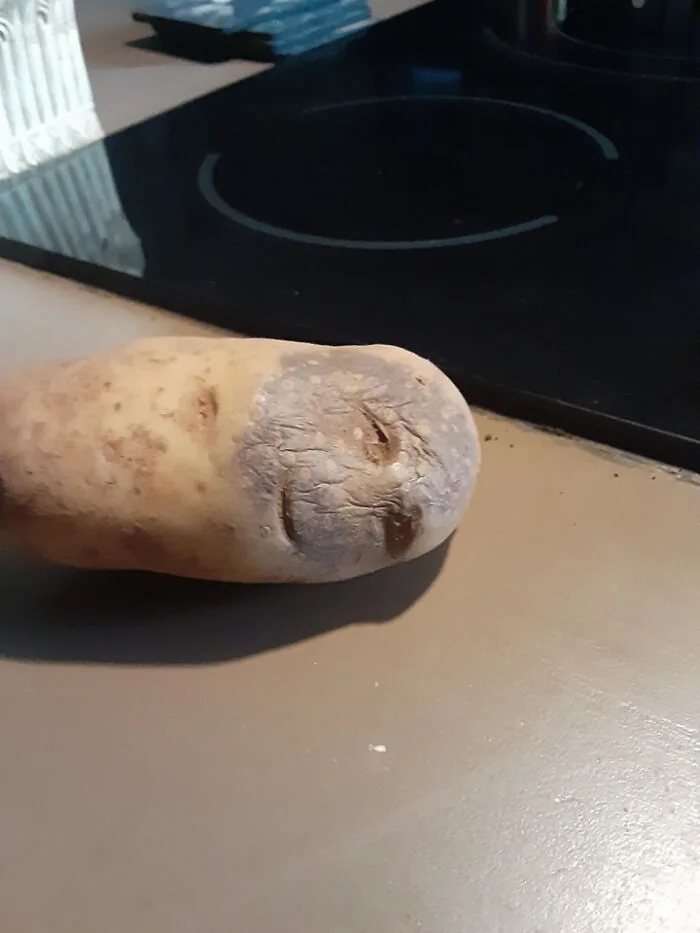 potato meme