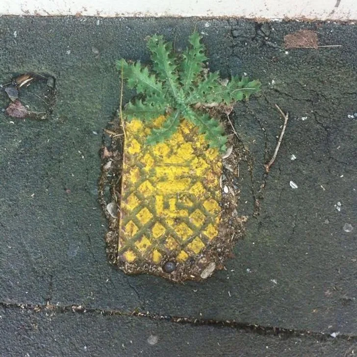 pineapple meme