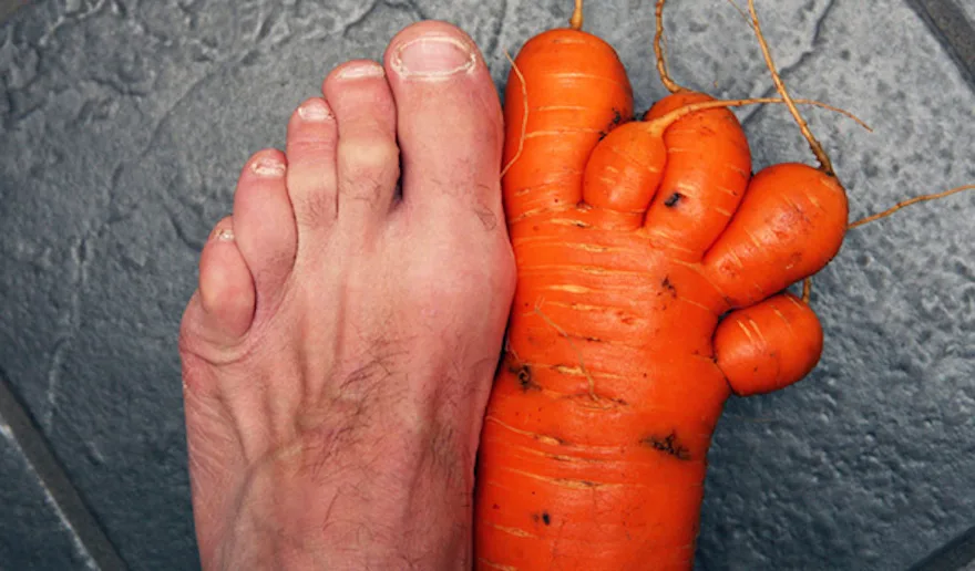 carrot meme