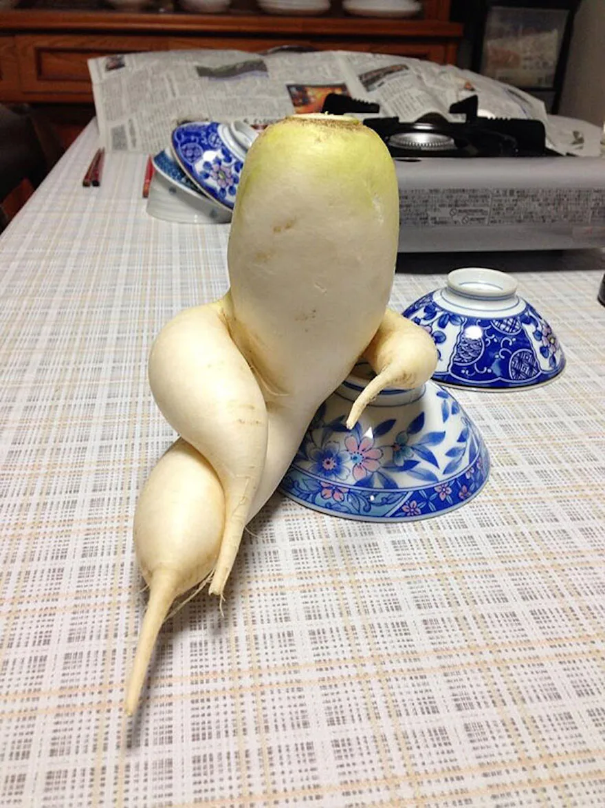 daikon radish meme