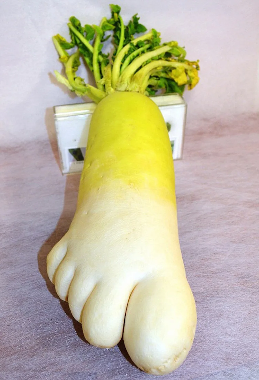 daikon radish meme