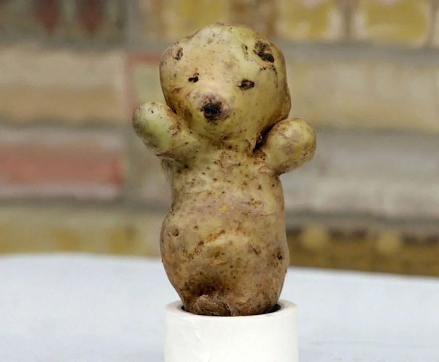 potato meme