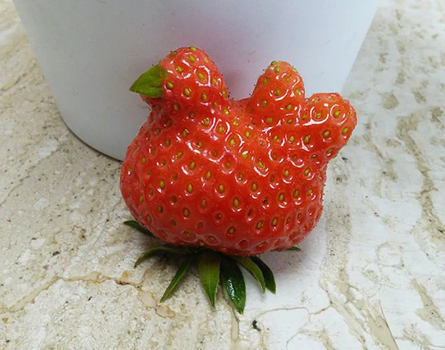 strawberry meme