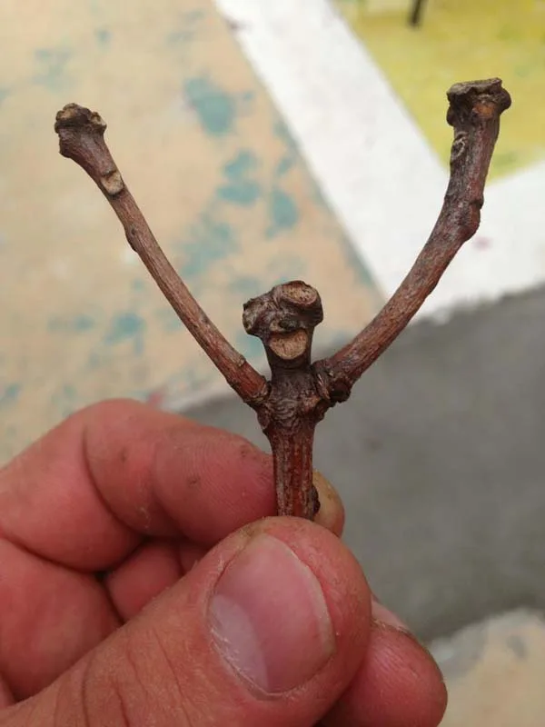stick meme