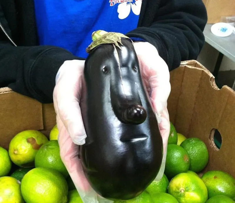 eggplant meme