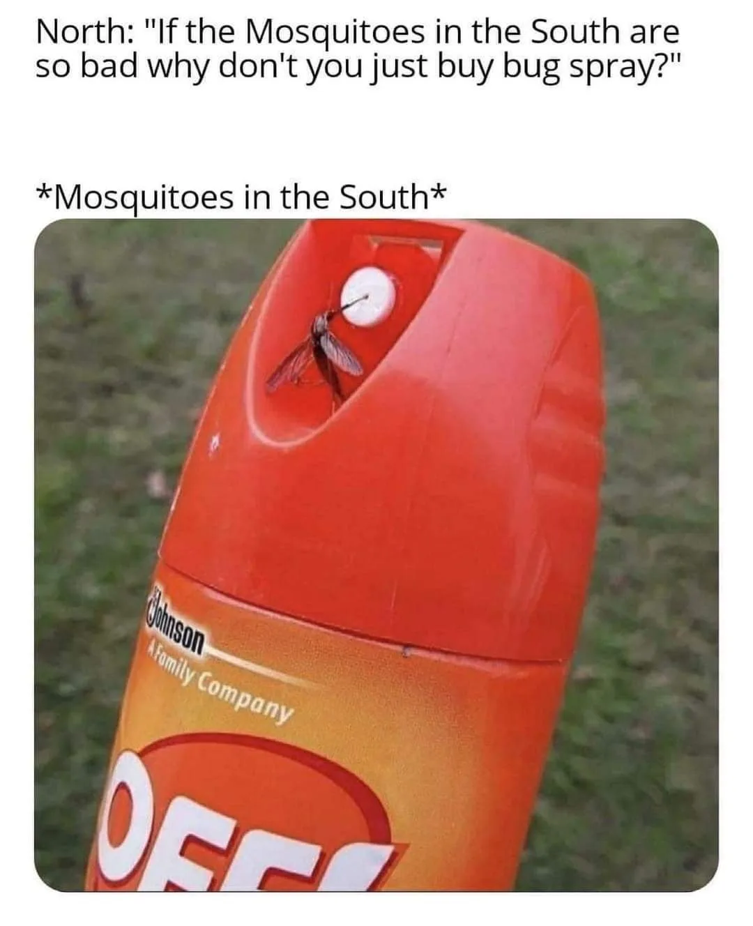 south meme
