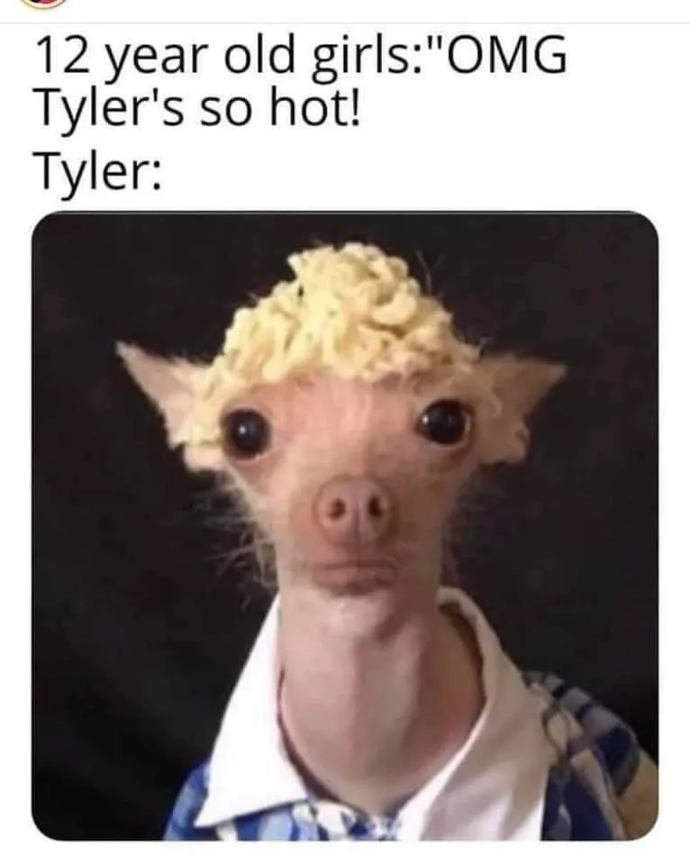 attractiveness meme
