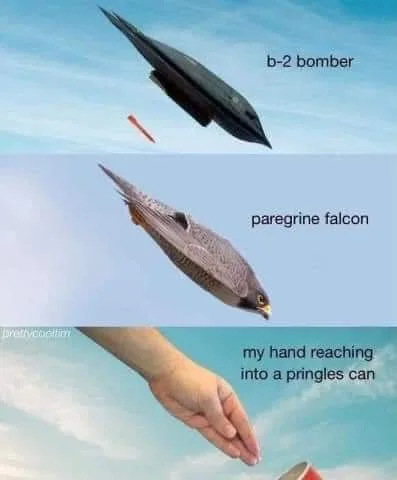 Pringles meme