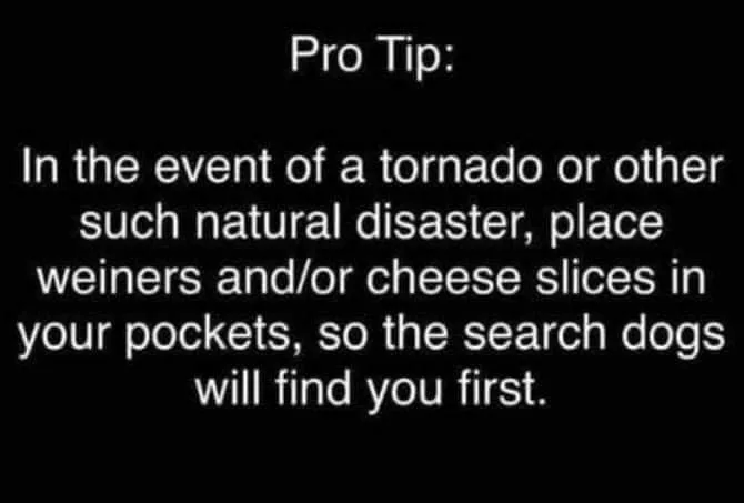 natural disaster meme