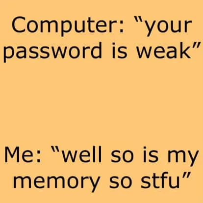 memory meme