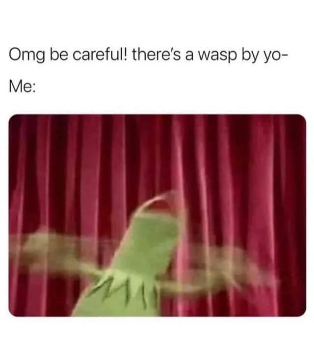 bee meme