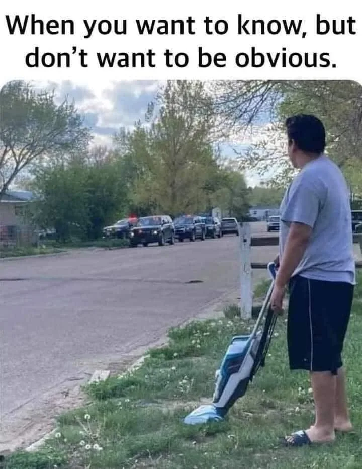 curiosity meme