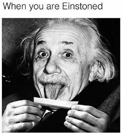 Albert Einstein meme