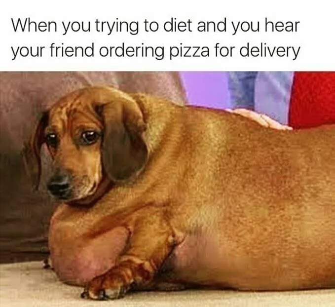 dieting meme