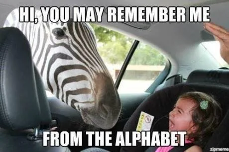 zebra meme