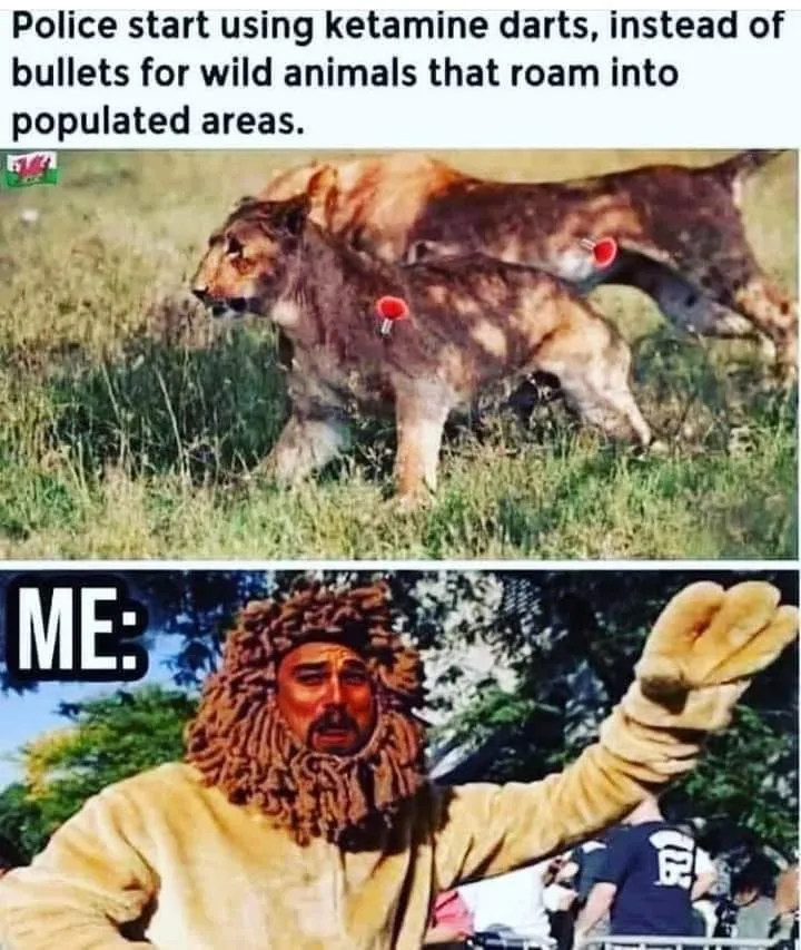 ketamine meme