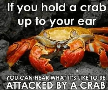attack meme