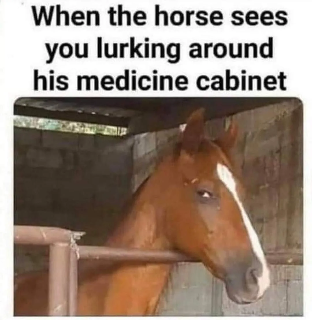 horse meme