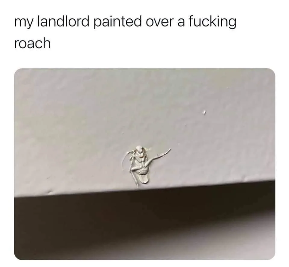 cockroach meme