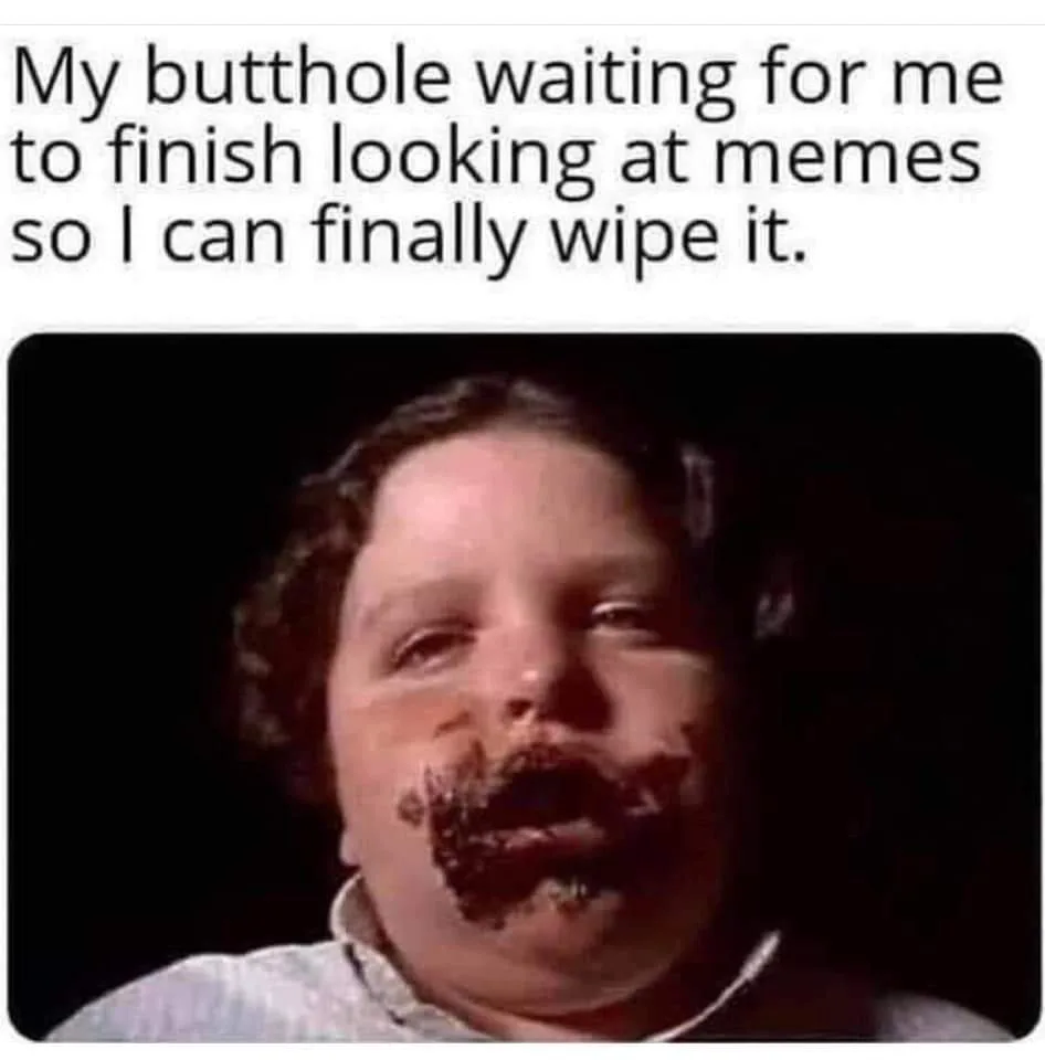 toilet meme