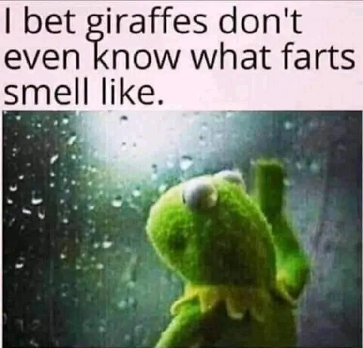 fart meme