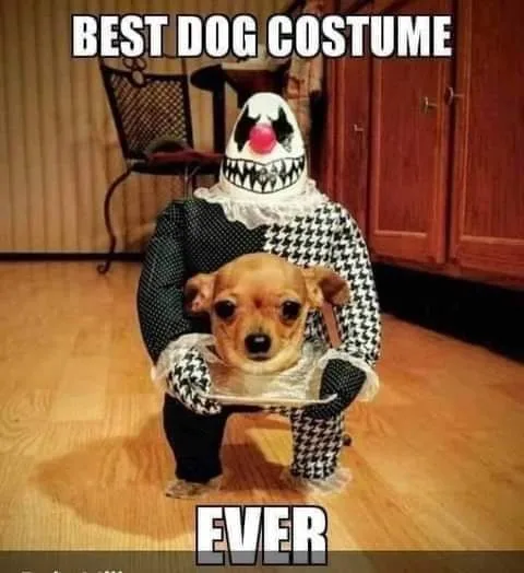 costume meme