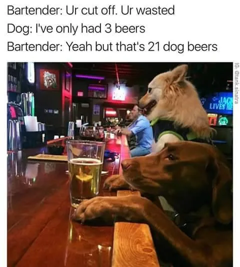 bar meme
