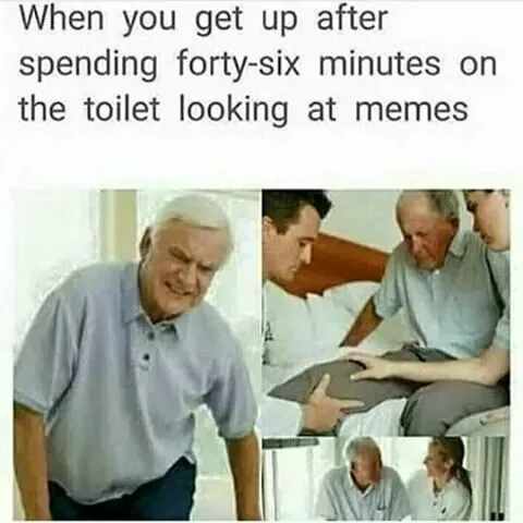 toilet meme