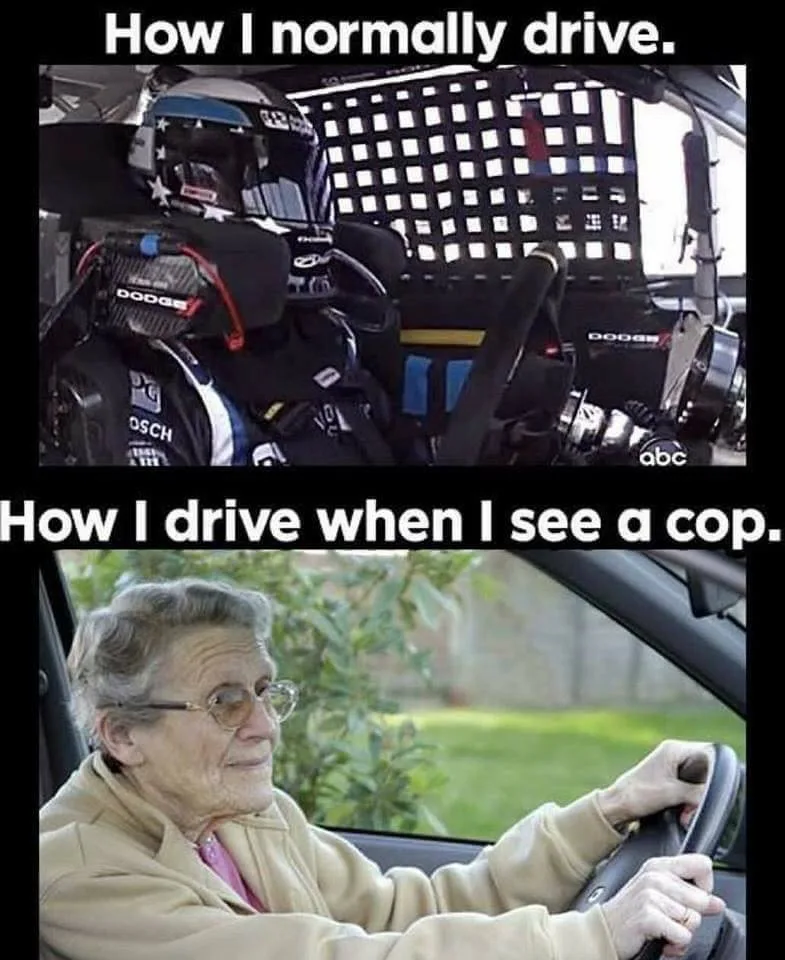 driving meme