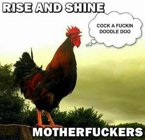 good morning meme
